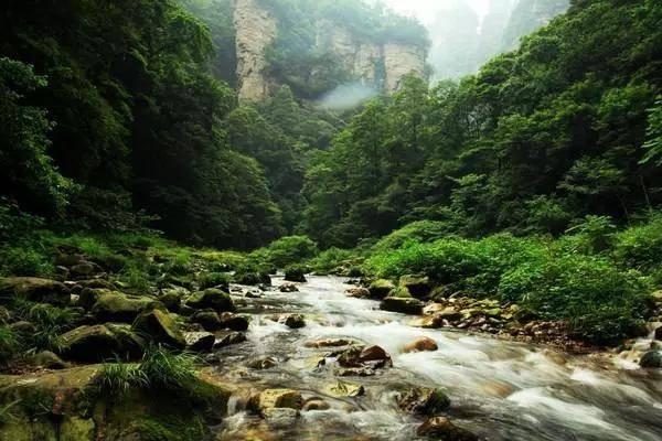 为什么七八十年代贫富差距小，现在贫富差距大？